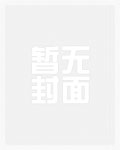 老公不嫌多（NP、H)